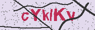 Güvenlik Kodu